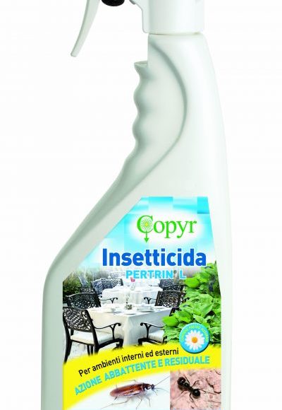 PERTRIN L_1L e1572361876224 400x580